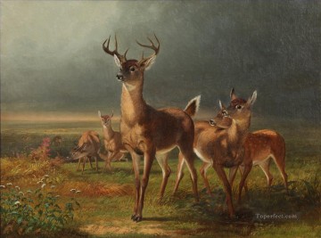  ciervo Pintura Art%C3%ADstica - Ciervos en la pradera William Holbrook Beard